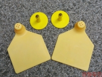 D-Think_C07U電子耳標