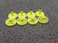 D-Think_C01電子耳標