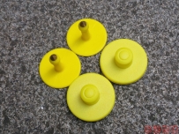 D-Think_C03電子耳標