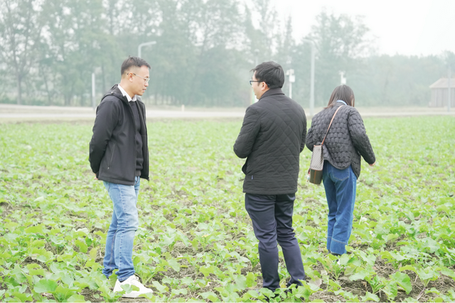 科技助力農(nóng)業(yè)產(chǎn)業(yè)過冬：牦牛戴上“智能手表”、科學選育耐寒油菜…