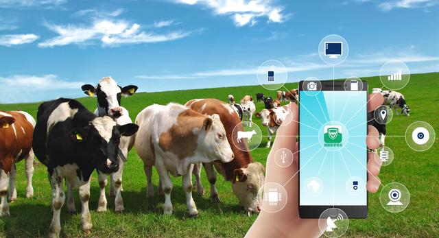 RFID電子耳標(biāo)，讓動物擁有屬于自己的電子“身份證”