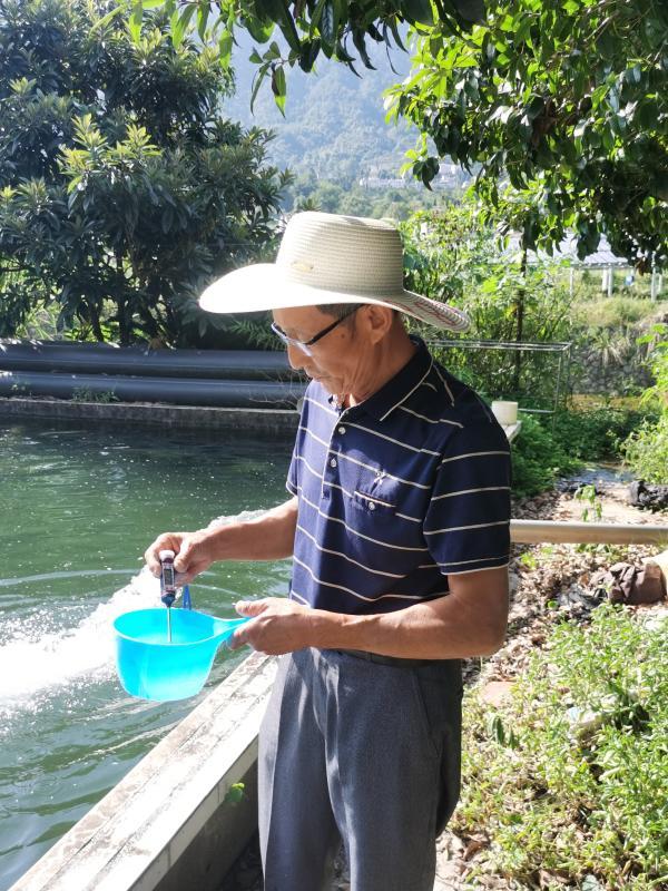 特稿｜254條中華鱘背后的守護(hù)人：年近七旬，苦撐15年