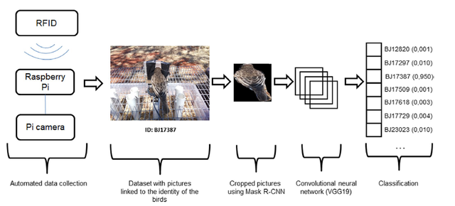 不光人臉識(shí)別，AI還能識(shí)鳥(niǎo)：歐洲團(tuán)隊(duì)首個(gè)模型準(zhǔn)確率90%