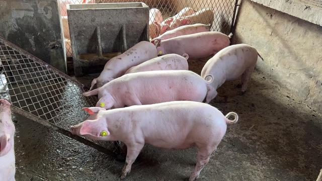 ?？挡┤痣娮佣鷺硕加心男﹥?yōu)勢？