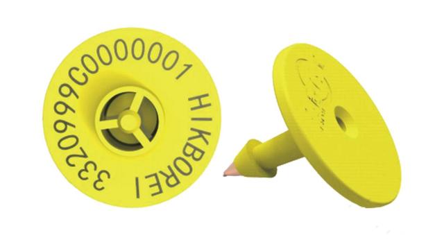 為什么RFID電子耳標(biāo)在畜牧養(yǎng)殖領(lǐng)域越來(lái)越受歡迎？