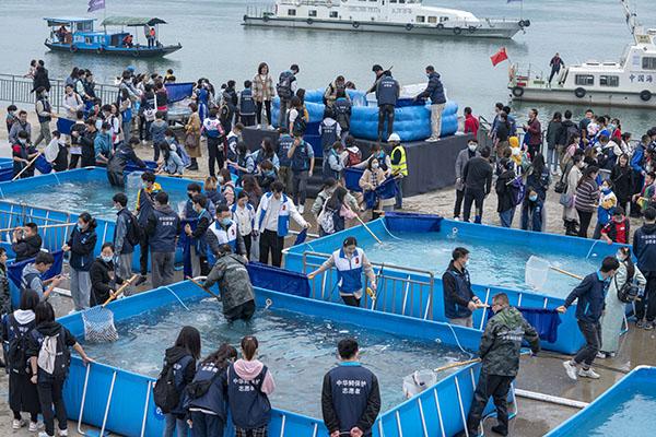 共抓長(zhǎng)江大保護(hù) 1萬(wàn)尾大規(guī)格“子二代”中華鱘放歸長(zhǎng)江