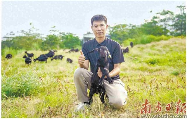 “90后”創(chuàng)業(yè)團隊用大數(shù)據(jù)養(yǎng)羊