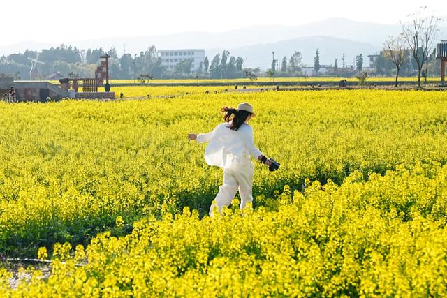 攝影人不會AI很吃虧，為何要拒絕？