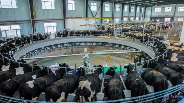 西寧這里 “?！眲攀恪? style='' data-ratio='0.562962962962963' data-imgfileid='505356113' data-type='jpeg' data-s='300,640' class='rich_pages wxw-img js_insertlocalimg' data-w='1080'  onerror=