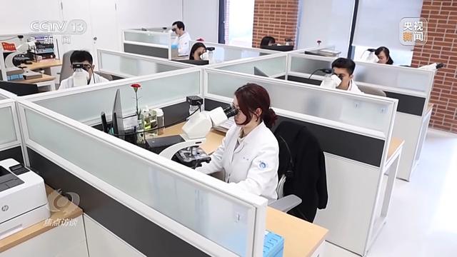 焦點(diǎn)訪談丨輔助診斷、AI問答、健康管理……AI正重塑醫(yī)療服務(wù)鏈條